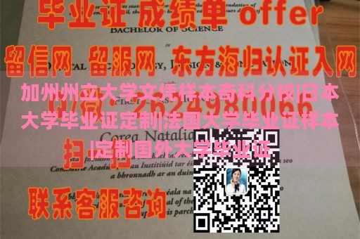 加州州立大学文凭样本奇科分校|日本大学毕业证定制|法国大学毕业证样本|定制国外大学毕业证